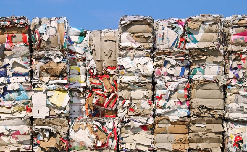 Paper waste sorting process