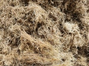 Dried Palm Fiber for Waste-to-Energy Pellets