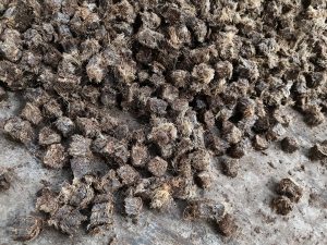 High-Calorific RDF Pellets from Palm Waste