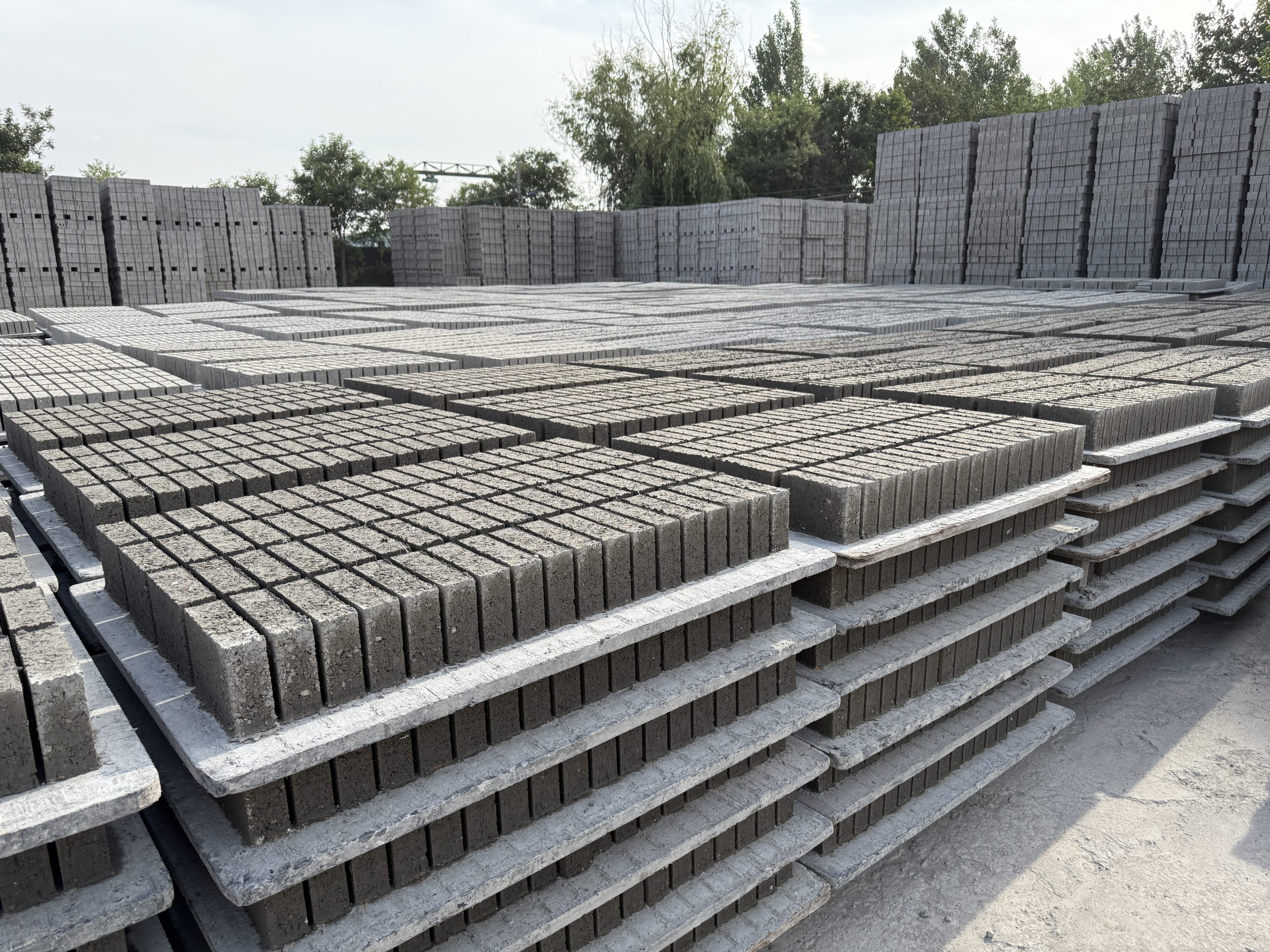 Case Study: Guoxin Xi’an C&D Waste Project — From Demolition Debris to Eco-Friendly Bricks